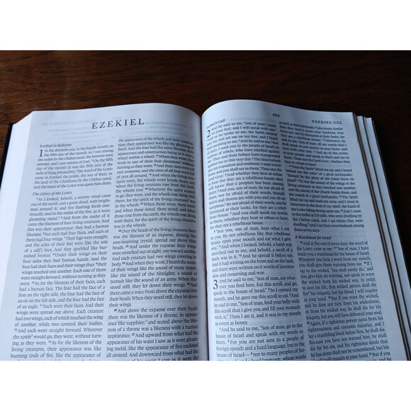 Holy Bible English Standard Version - ESV  Black (Hardcover 2016) Crossway VG - Picture 16 of 16